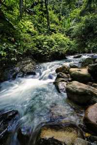 《喀斯特秘境：與遠古精靈的對話》