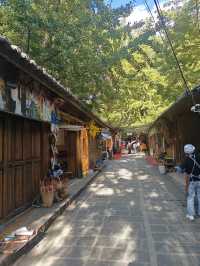 騰衝銀杏季躺平指南！三宅一界頂奢度假