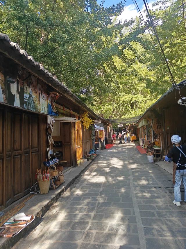 騰衝銀杏季躺平指南！三宅一界頂奢度假