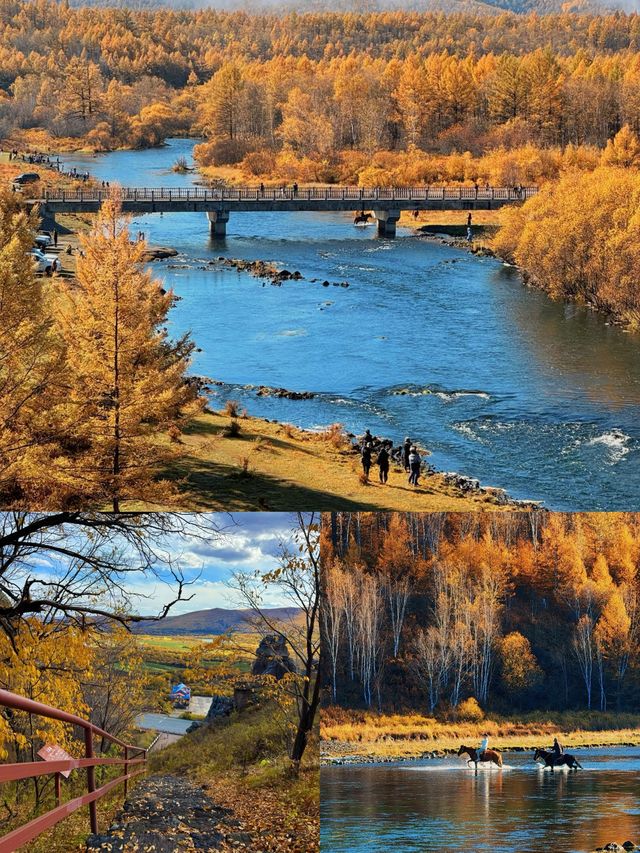 赴一場大興安嶺的秋日之約，把浪漫染成金黃