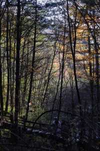 秦嶺留壩環線之情人谷