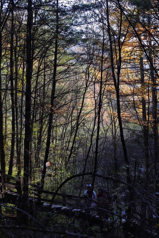 秦嶺留壩環線之情人谷