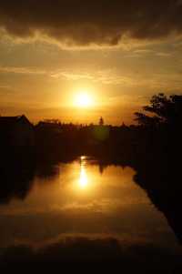 深秋「好色」去上海植物園