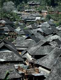 北回歸線的綠洲上,邂逅茶香與咖啡香