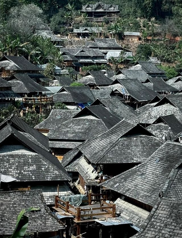 北回歸線的綠洲上,邂逅茶香與咖啡香 北回歸線的綠洲上,邂逅茶香與咖啡香