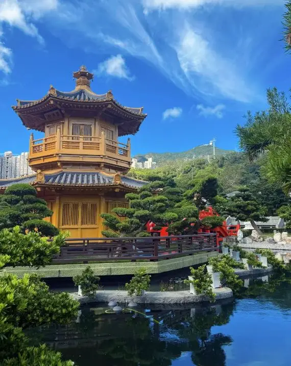 홍콩에 숨겨진 강남의 풍골