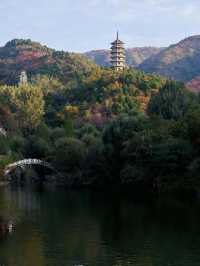 濟南秋日野趣指南