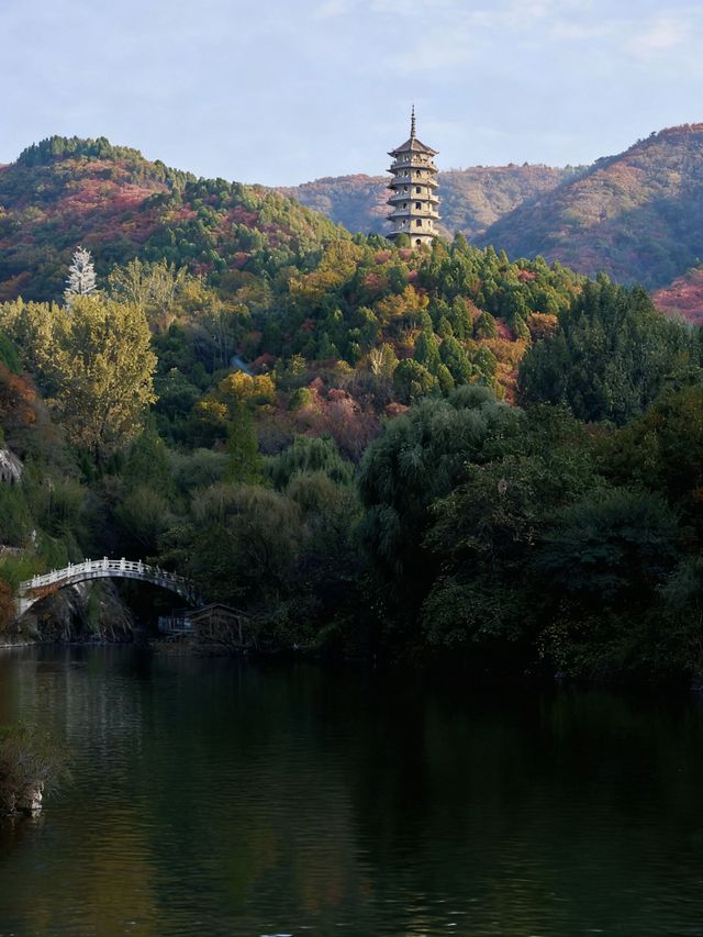 濟南秋日野趣指南 濟南秋日野趣指南