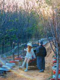 宜興這的秋天 建議去這裡