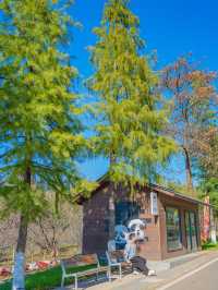 江浙滬這座寶藏樂園！已經被這裡動物萌化了