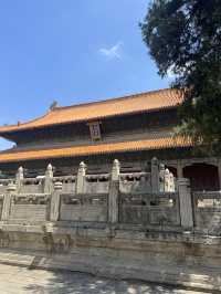 三孔 孔子博深度拼團講解|解鎖文化乾貨!