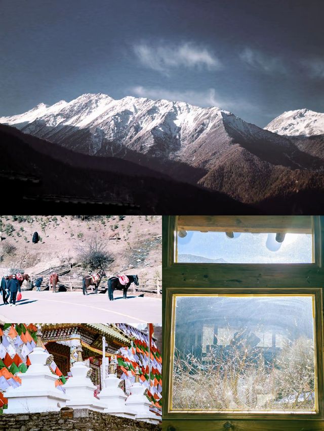 四姑娘山3日旅拍攻略冬季絕美山景這樣拍！