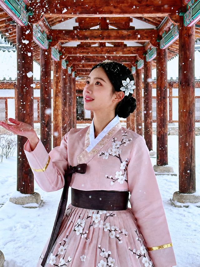 第一次去哈爾濱旅遊必看｜這些坑千萬別踩！