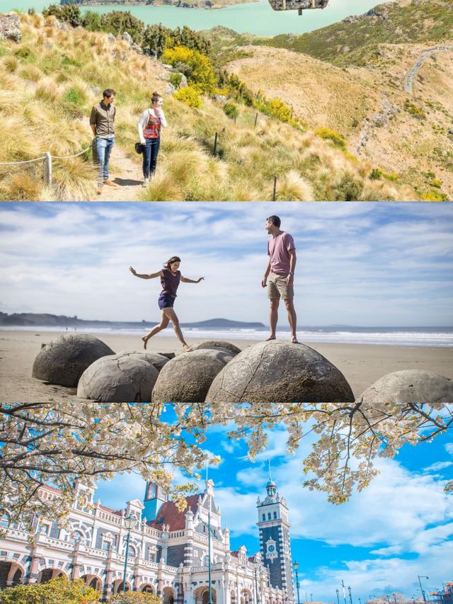 新西蘭旅遊南島3條路線！藍線綠線紅線