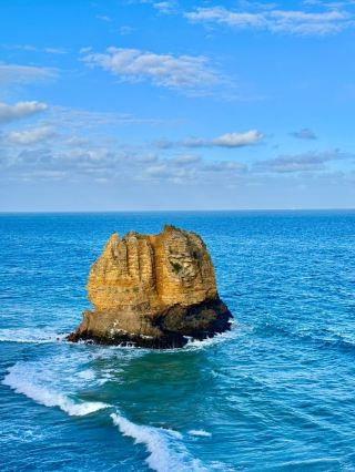 【大洋路超全攻略】海崖、雨林一次集齊！