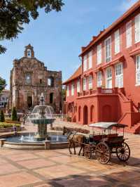 馬來西亞11受罪已回,說點難聽的大實話