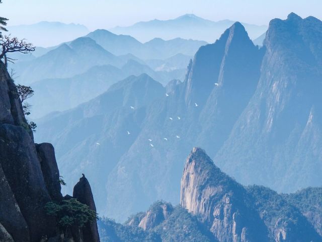 三清山血淚省力攻略｜攬五嶽之秀，藏絕景於此