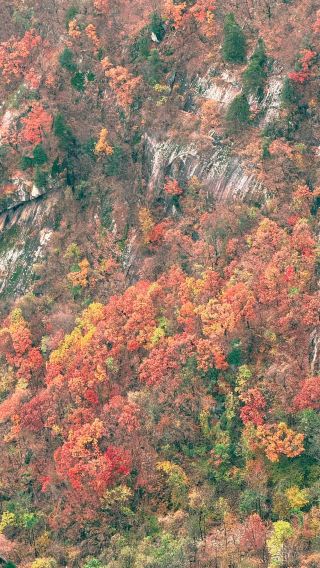 공리산은 정말 남양 주변 등산의 보물 같은 장소입니다
