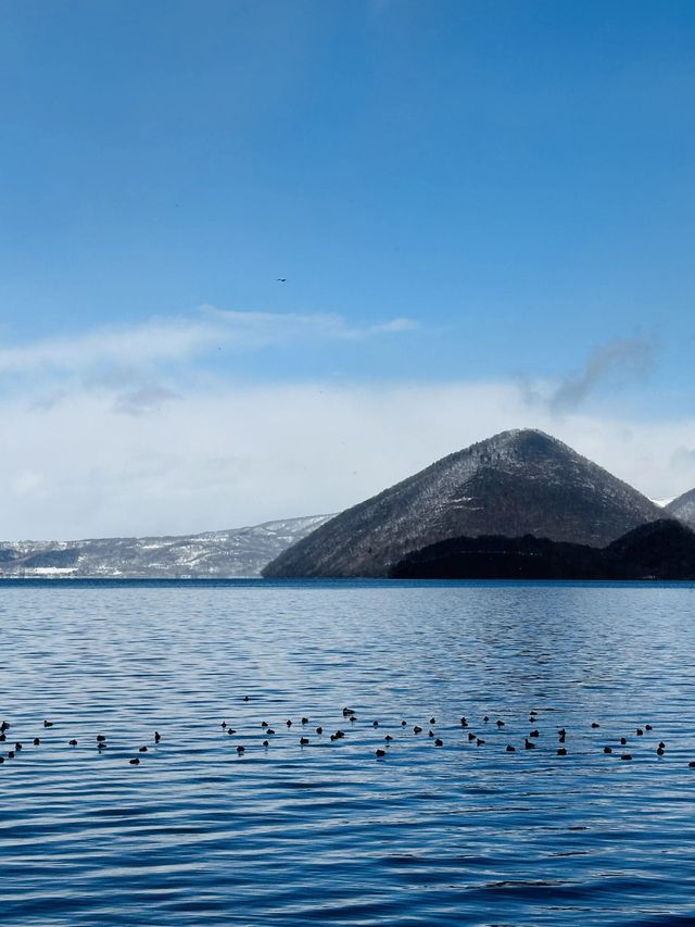 日本6日深度遊不看後悔攻略來啦