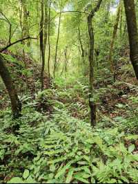 騰衝1日包車遊省心又盡興