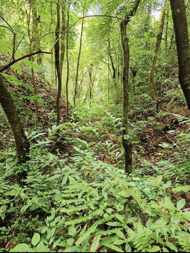 騰衝1日包車遊省心又盡興