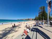 Surfing History with Scenic Views at Manley Ocean Beach