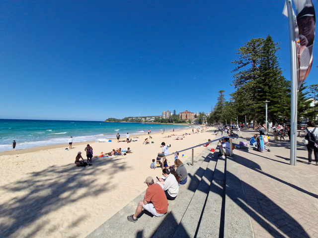 Surfing History with Scenic Views at Manley Ocean Beach Surfing History with Scenic Views at Manley Ocean Beach