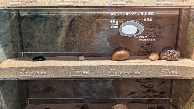 Impressive Island Exhibit Impressive Island Exhibit