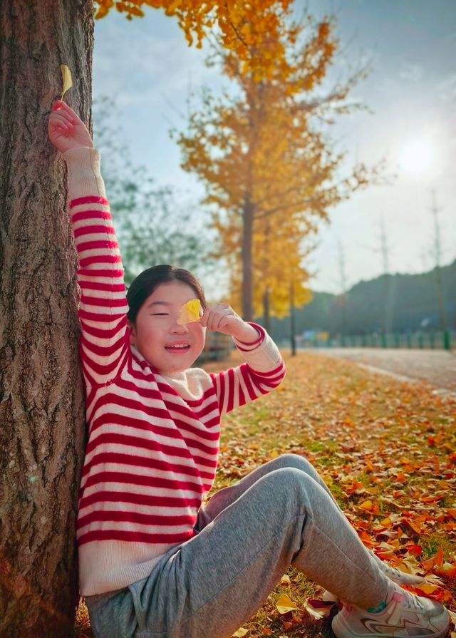 崇明島明珠湖｜秋日私藏的金色童話秘境！