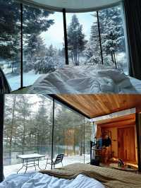 九寨這波真的絕絕子躺進森林雪景小屋