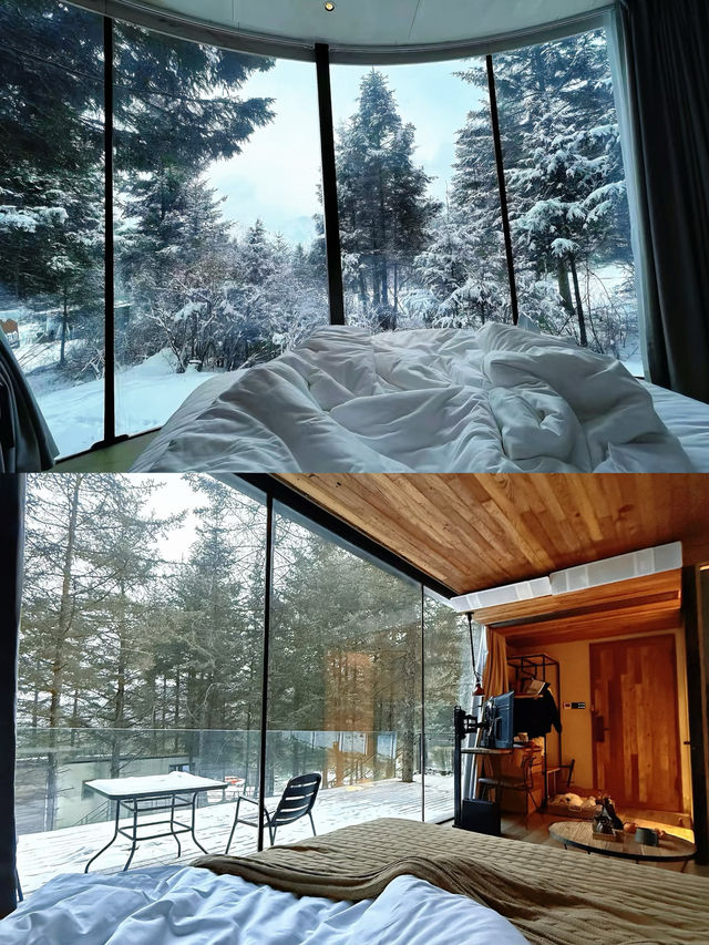 九寨這波真的絕絕子躺進森林雪景小屋