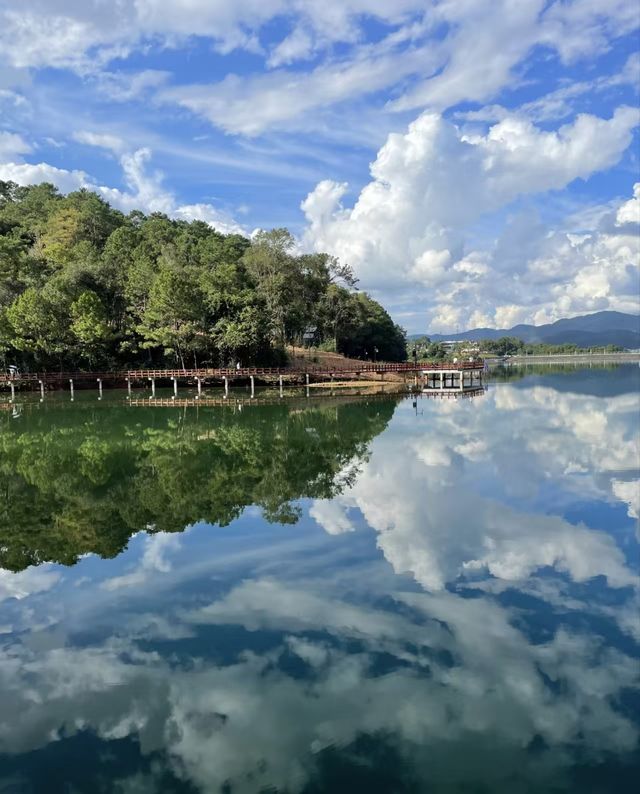 雲南普洱|「梅子湖公園」城市裡的天然氧吧 雲南普洱|「梅子湖公園」城市裡的天然氧吧