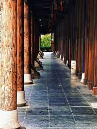 上海追秋 千年銀杏+元代古寺|真如寺打卡全攻略