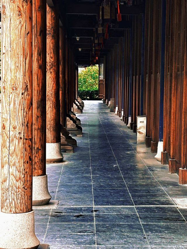 上海追秋 千年銀杏+元代古寺|真如寺打卡全攻略 上海追秋 千年銀杏+元代古寺|真如寺打卡全攻略