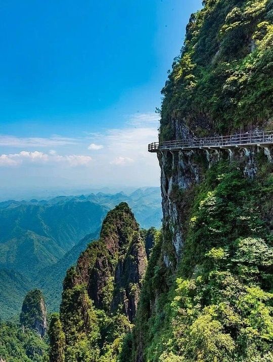 莽山仙境遊 莽山仙境遊