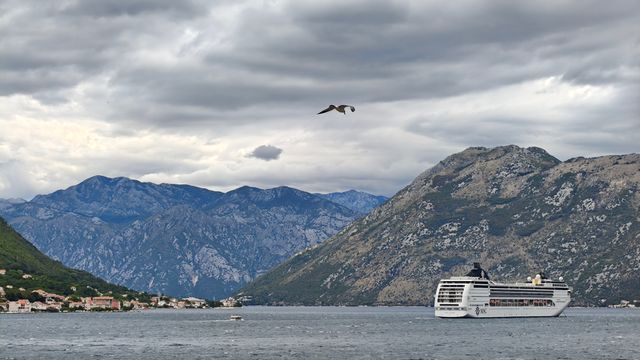 漫步科托爾岸邊