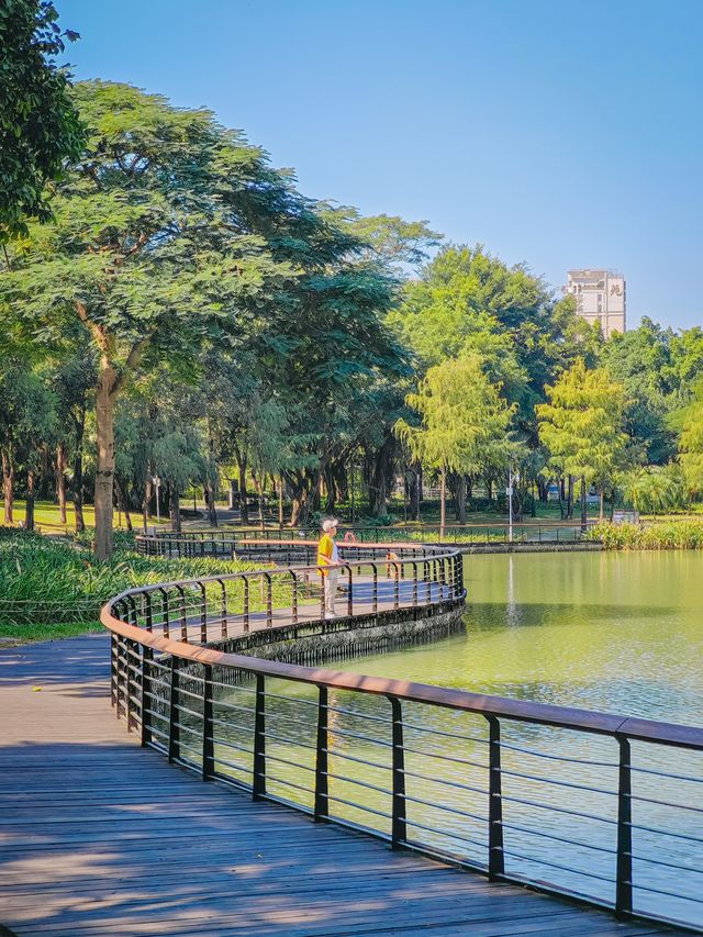 去一萬次都不夠！深圳我最愛的治癒系公園！
