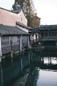 嘉興烏鎮|總要下一趟江南吧