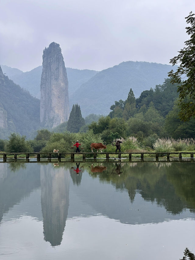 帶爸媽遊仙都|人均500+玩轉山水秘境 這份攻略太省心啦! 帶爸媽遊仙都|人均500+玩轉山水秘境 這份攻略太省心啦!