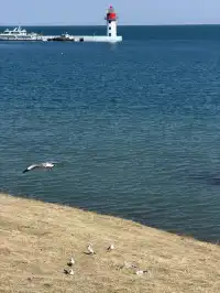 大西北你真的有點厲害!青海湖隨手拍都美!
