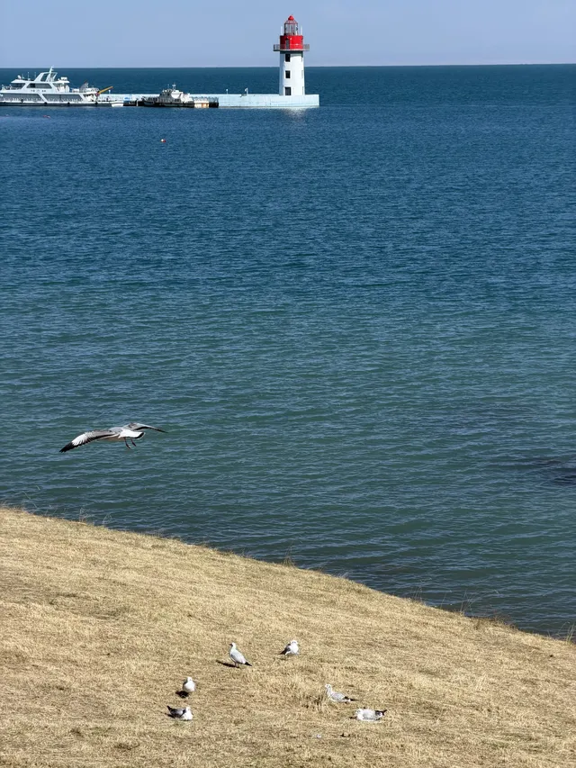 大西北你真的有點厲害!青海湖隨手拍都美! 大西北你真的有點厲害!青海湖隨手拍都美!