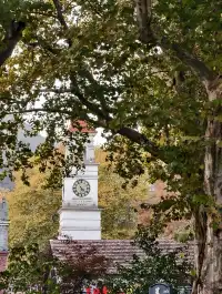 留住秋天的一百種方式之莫干山的楓葉