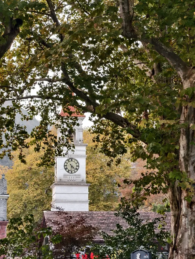 留住秋天的一百種方式之莫干山的楓葉