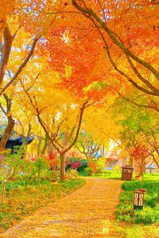 楓橋景区のおすすめ観光スポット2025年（12月更新）| Trip Moments