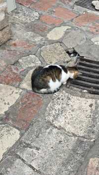 特托爾古城city walk