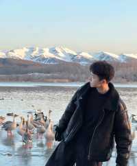 瀋陽鳥島遊玩攻略  景點概況  瀋陽鳥島是渾河水系中的天然島嶼，佔地面積49.26公頃，東北亞候鳥遷