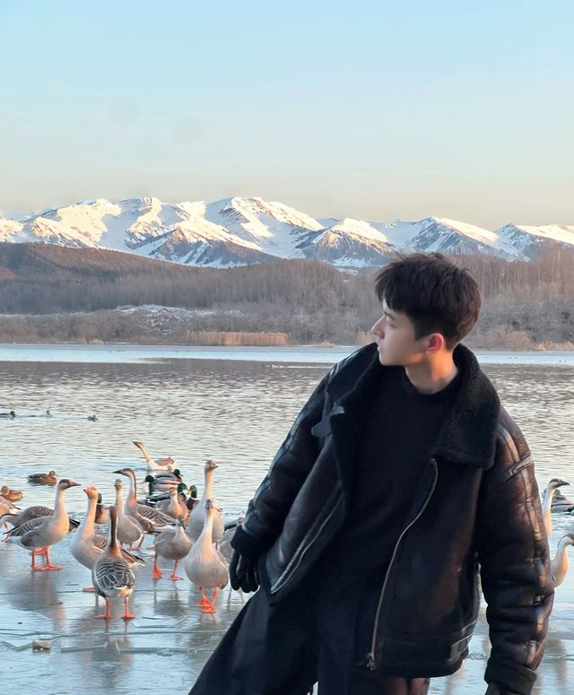 瀋陽鳥島遊玩攻略  景點概況  瀋陽鳥島是渾河水系中的天然島嶼，佔地面積49.26公頃，東北亞候鳥遷