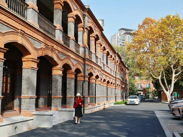 11.27這裡的絕美百年銀杏與梧桐沒人拍，快衝