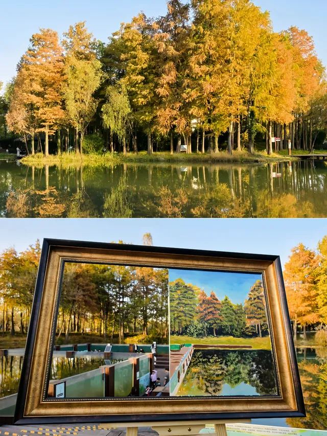 以為西湖的秋天已經夠美了,直到我來到了這裡 以為西湖的秋天已經夠美了,直到我來到了這裡