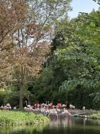 30歲不薅羊毛，更待何時！